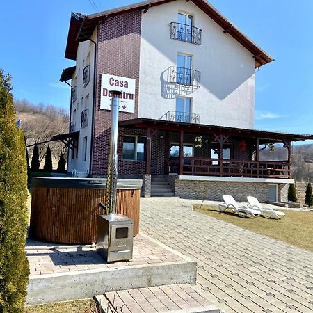 Hotel Casa Dumitru à Ceraşul Extérieur photo