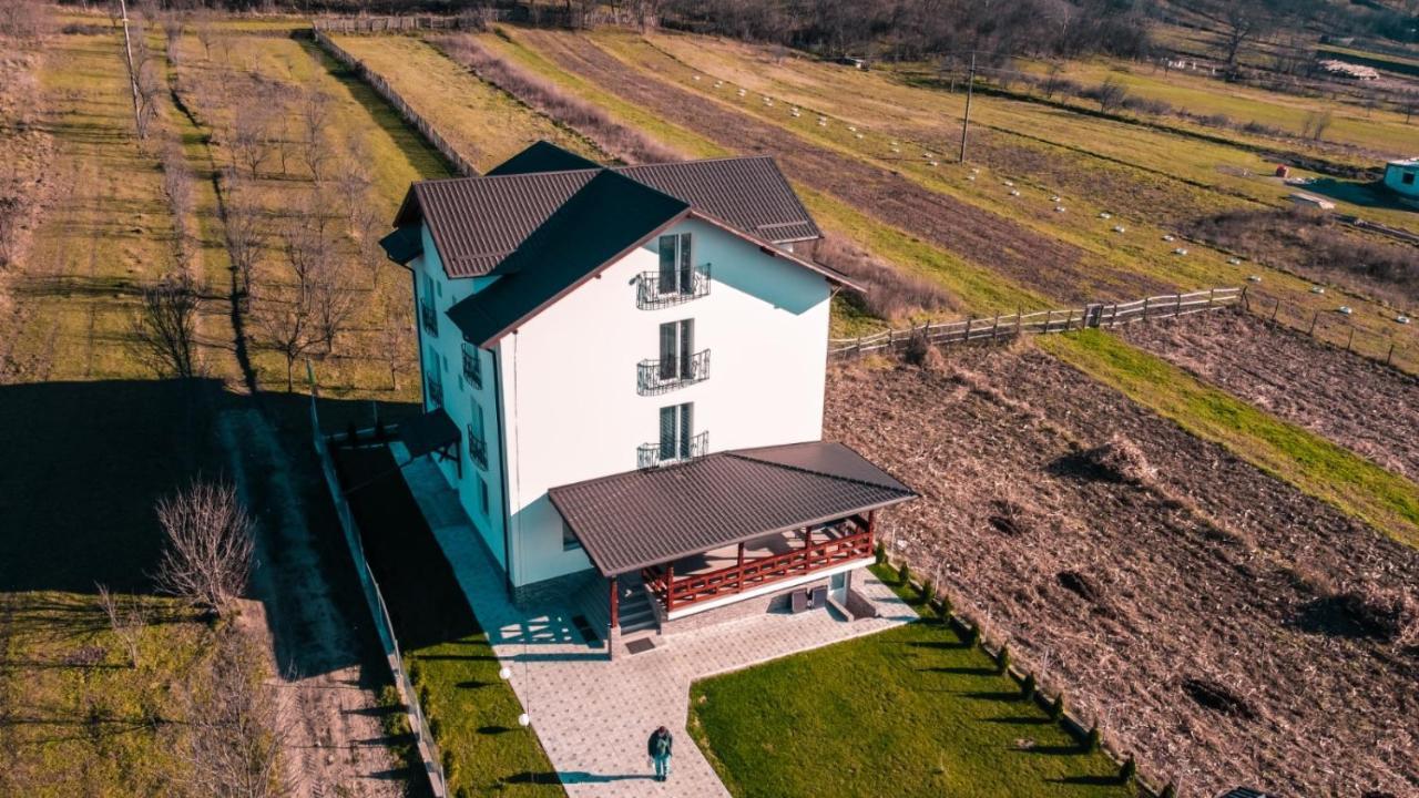 Hotel Casa Dumitru à Ceraşul Extérieur photo