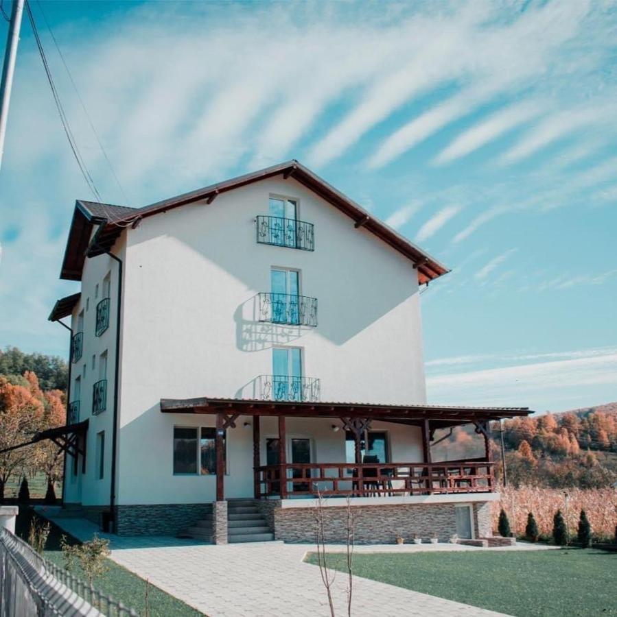 Hotel Casa Dumitru à Ceraşul Extérieur photo